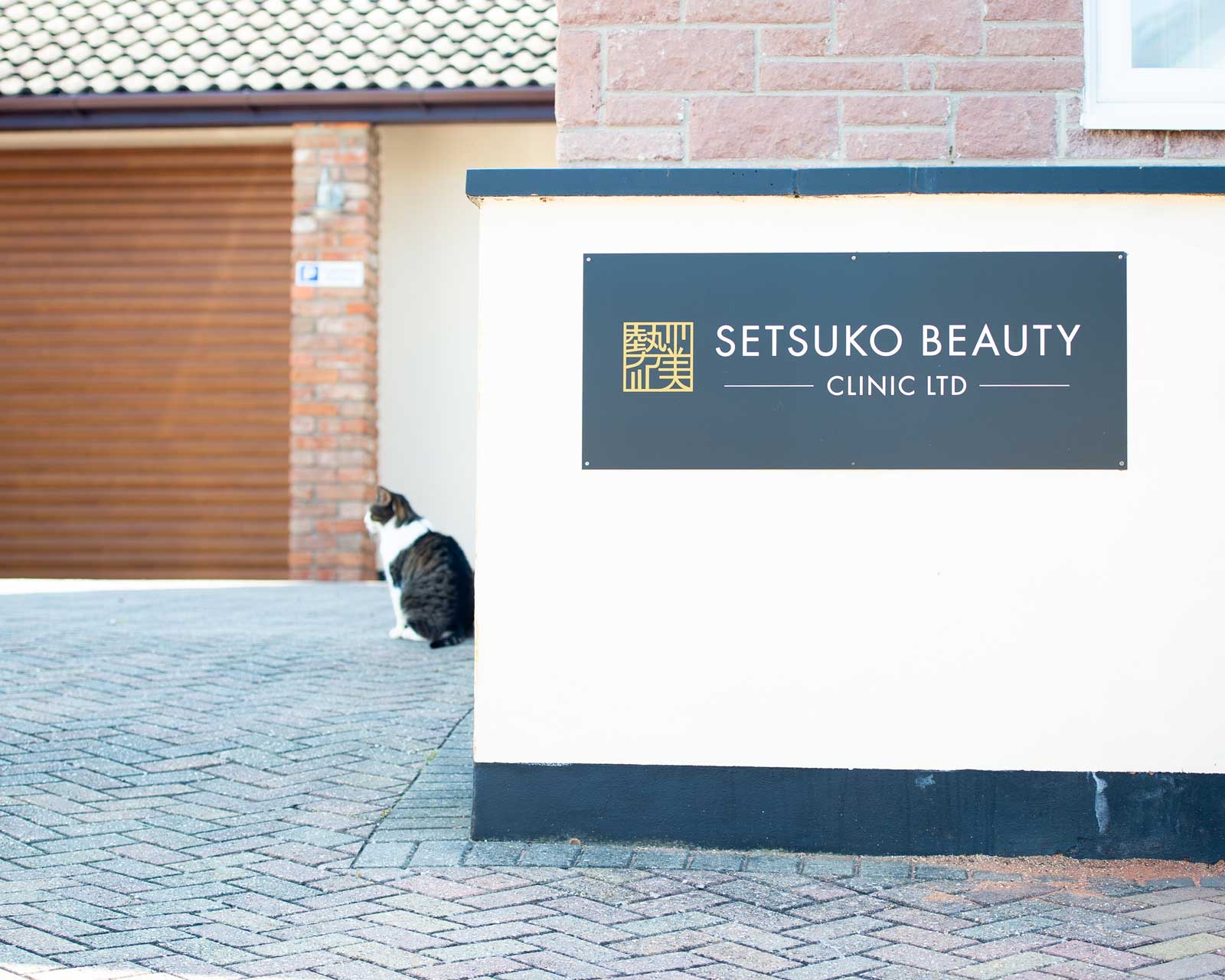 Sammy the cat outside Setsuko Beauty Clinic